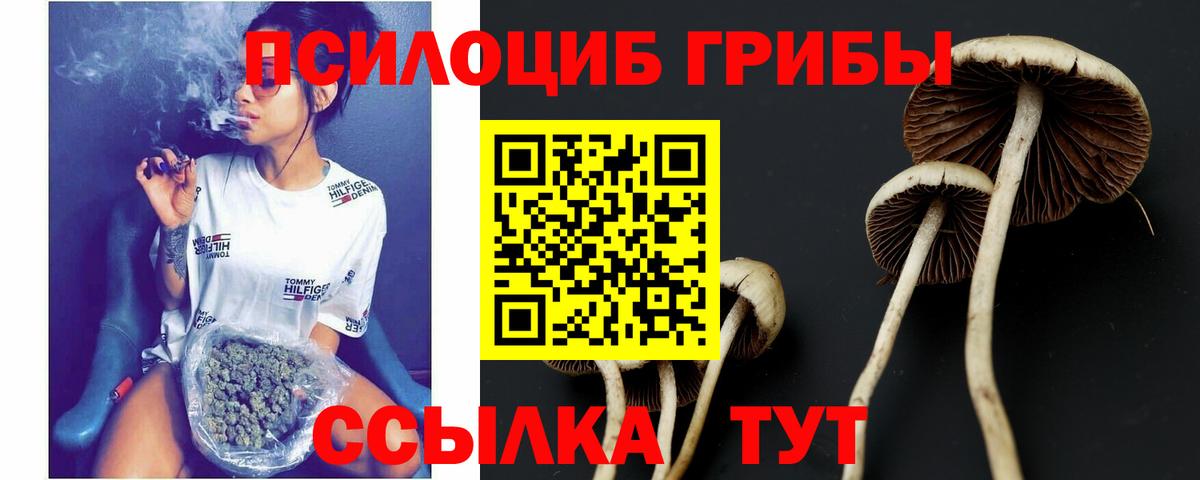 Псилоцибиновые грибы мухоморы  Вход с VPN  Богородск 